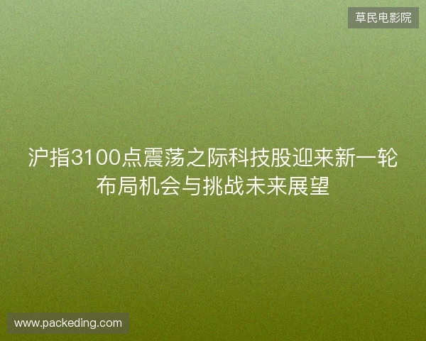 沪指3100点震荡之际科技股迎来新一轮布局机会与挑战未来展望